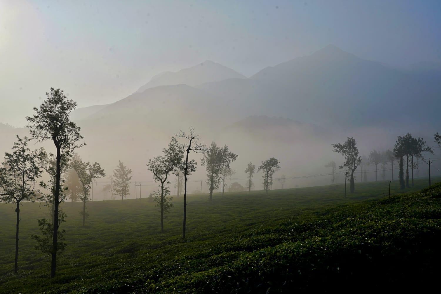 Padikkal Bungalow ไวทีรี ภายนอก รูปภาพ