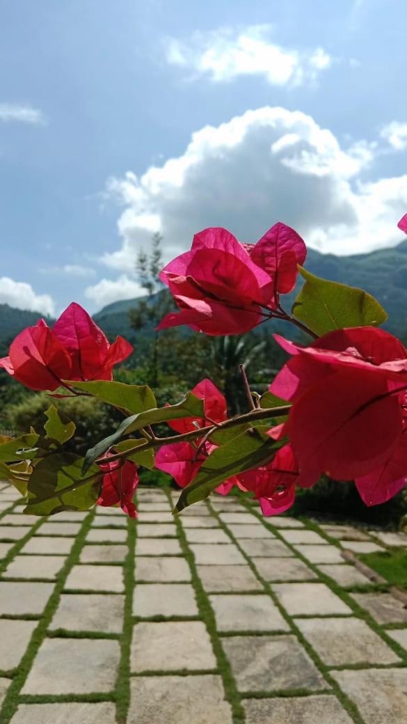 Padikkal Bungalow ไวทีรี ภายนอก รูปภาพ